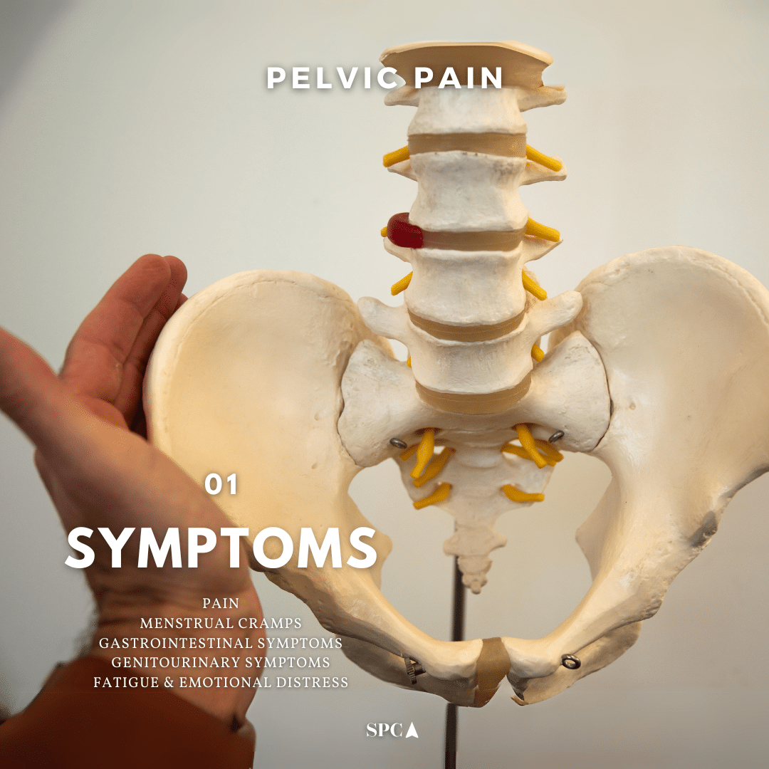 Pelvic Pain Spine